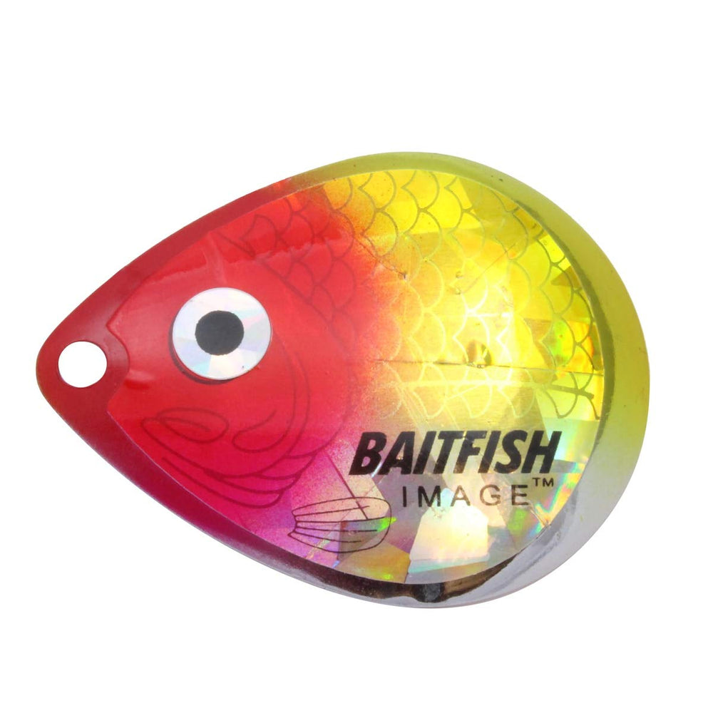 Close-up of Firetiger pattern on Northland HCDC3-FT spinnerbait