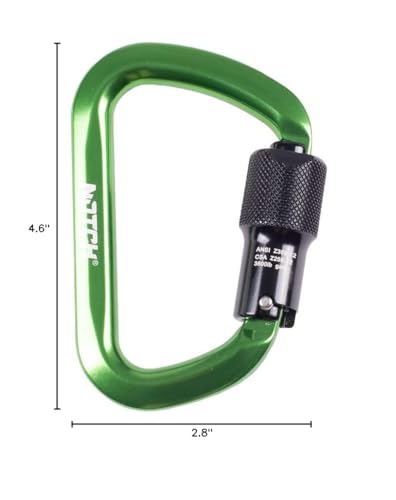 Notch D3600 dimensions and nose detail demonstrate compact design for versatile mounting.