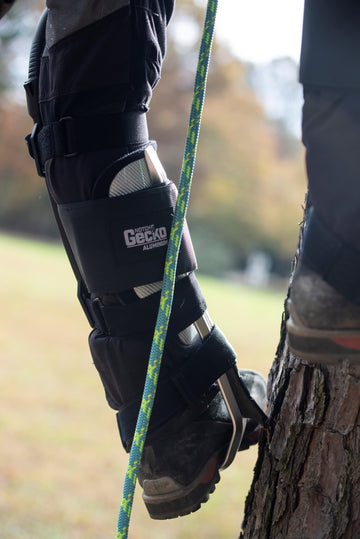 Notch Gecko 2.0 climbers in use by arborists in trees