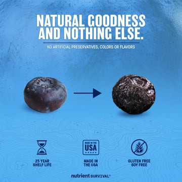 Nutrient Survival freeze-dried blueberries close-up highlights vibrant color and crisp texture.