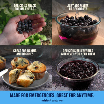 Nutrient Survival serving bowl presents ready-to-eat berries as a snack option.