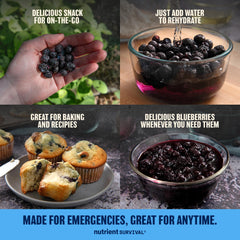 Nutrient Survival serving bowl presents ready-to-eat berries as a snack option.