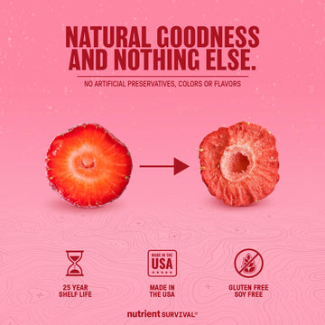 Nutrient Survival freeze-dried strawberries dry snack bowl captures crunchy texture and natural sweetness.