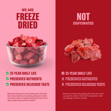 Nutrient Survival freeze-dried strawberries USA-packaged image underscores domestic sourcing and quality.