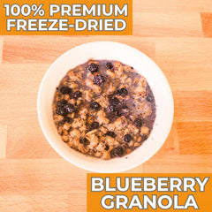 Nutristore blueberry granola serving bowl for quick breakfasts