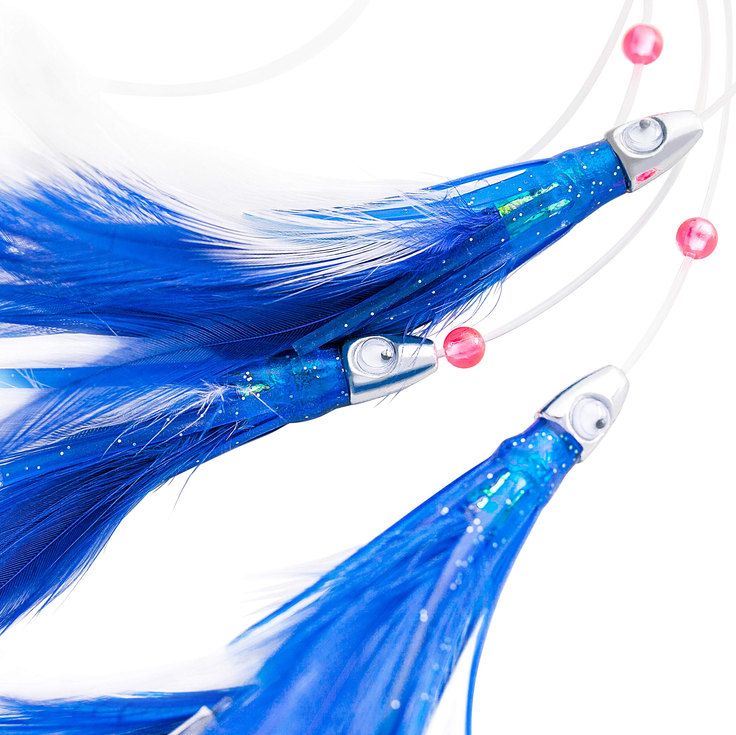 Ocean Cat feathers close-up highlighting natural plumage and motion