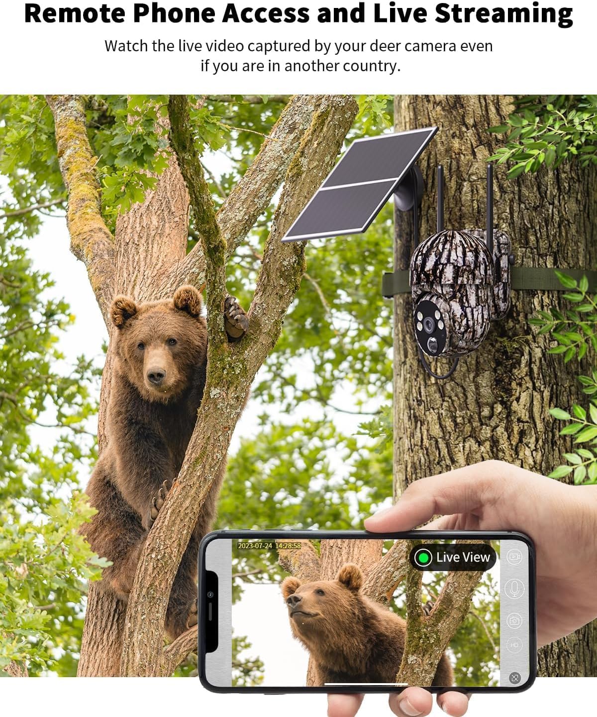OCULVIEW 360 panorama view captures wide-area coverage for comprehensive monitoring.