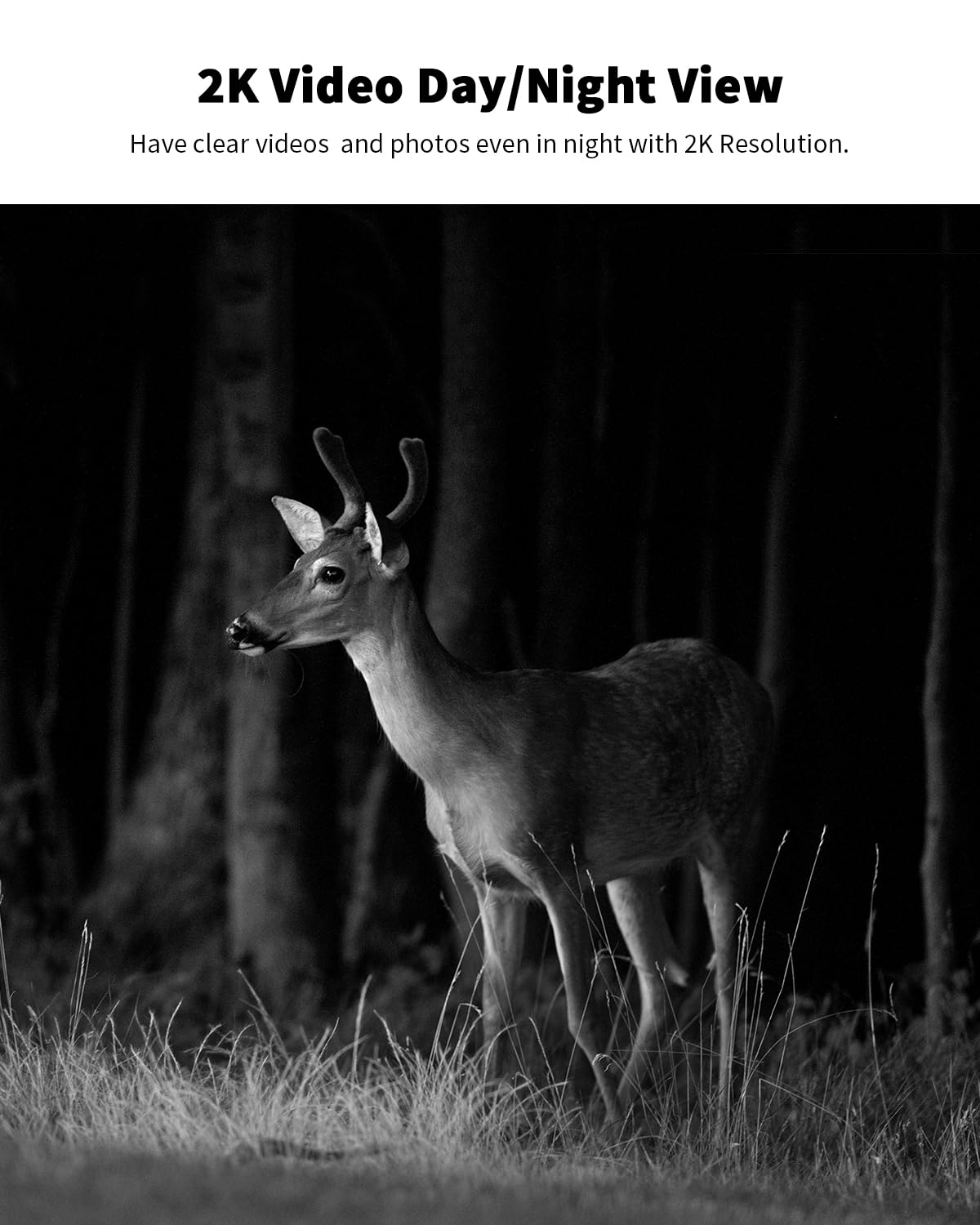 Oculview cellular trail camera remote phone access highlights easy live review from anywhere.