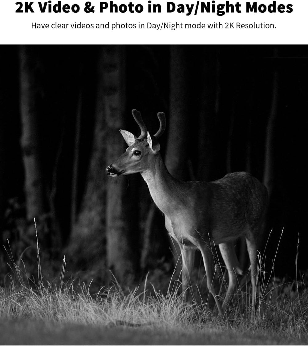 OCULVIEW motion-detection alerts enable timely notifications and footage capture.