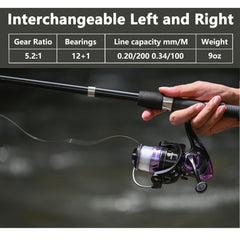 Two collapsible fishing rods and two spinning reels included in the kit