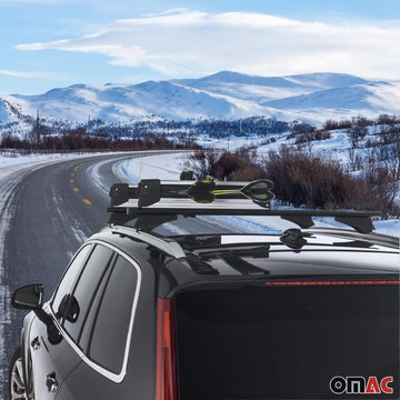 OMAC capacity highlights space for up to four skis on a roof rack.