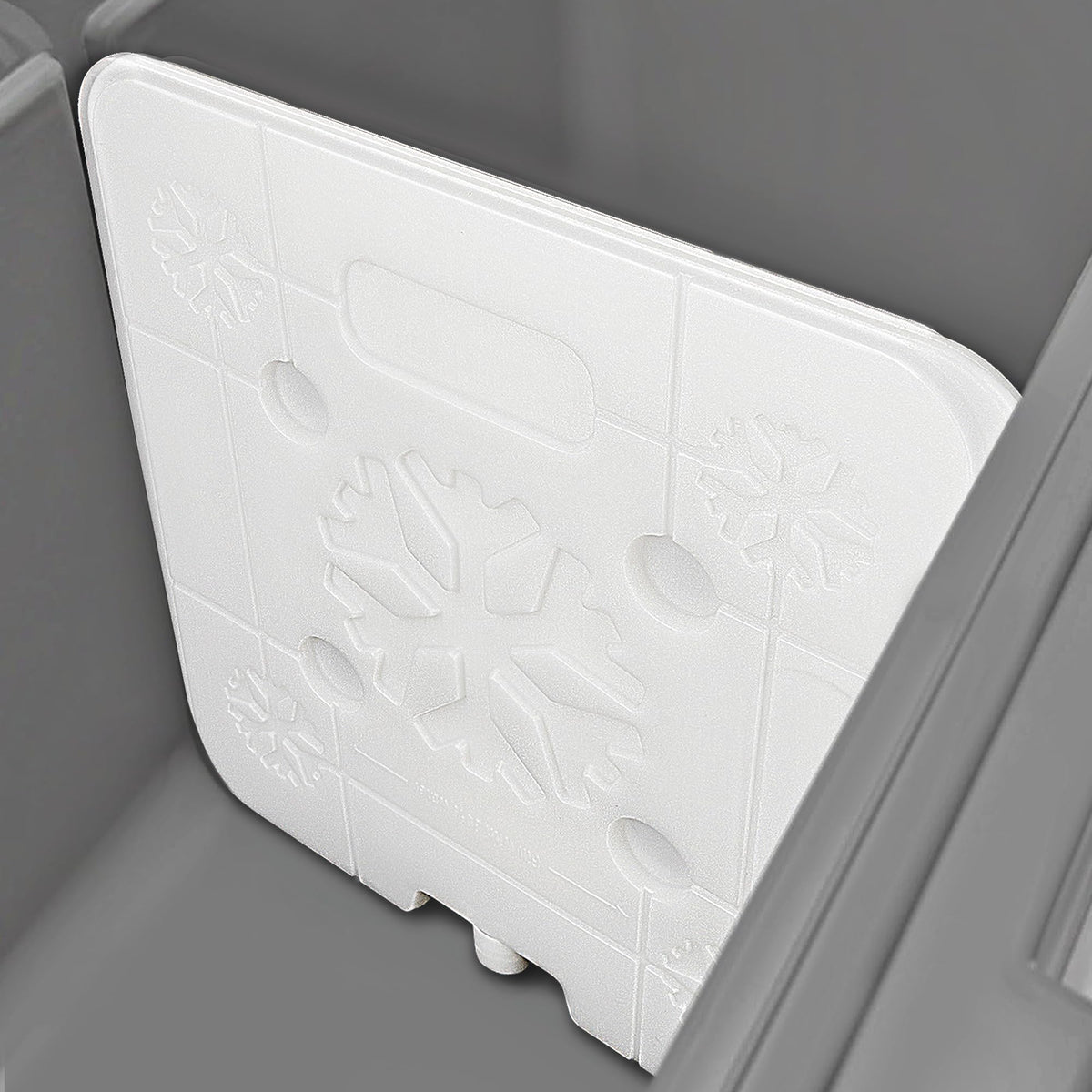 Omoojee 52QT ice pack divider side-view showing organized interior layout