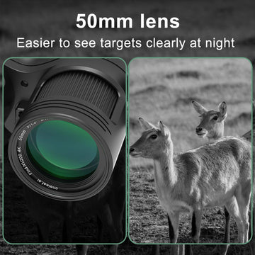 oneleaf.ai Find NV200 4K video footage capturing distant action