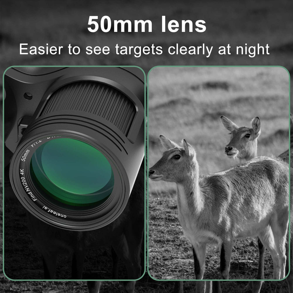 oneleaf.ai Find NV200 4K video footage capturing distant action