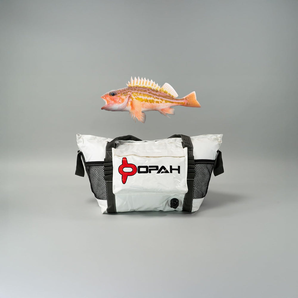 Opah Gear Fathom 3 lid-open interior detail highlights full 52-quart capacity
