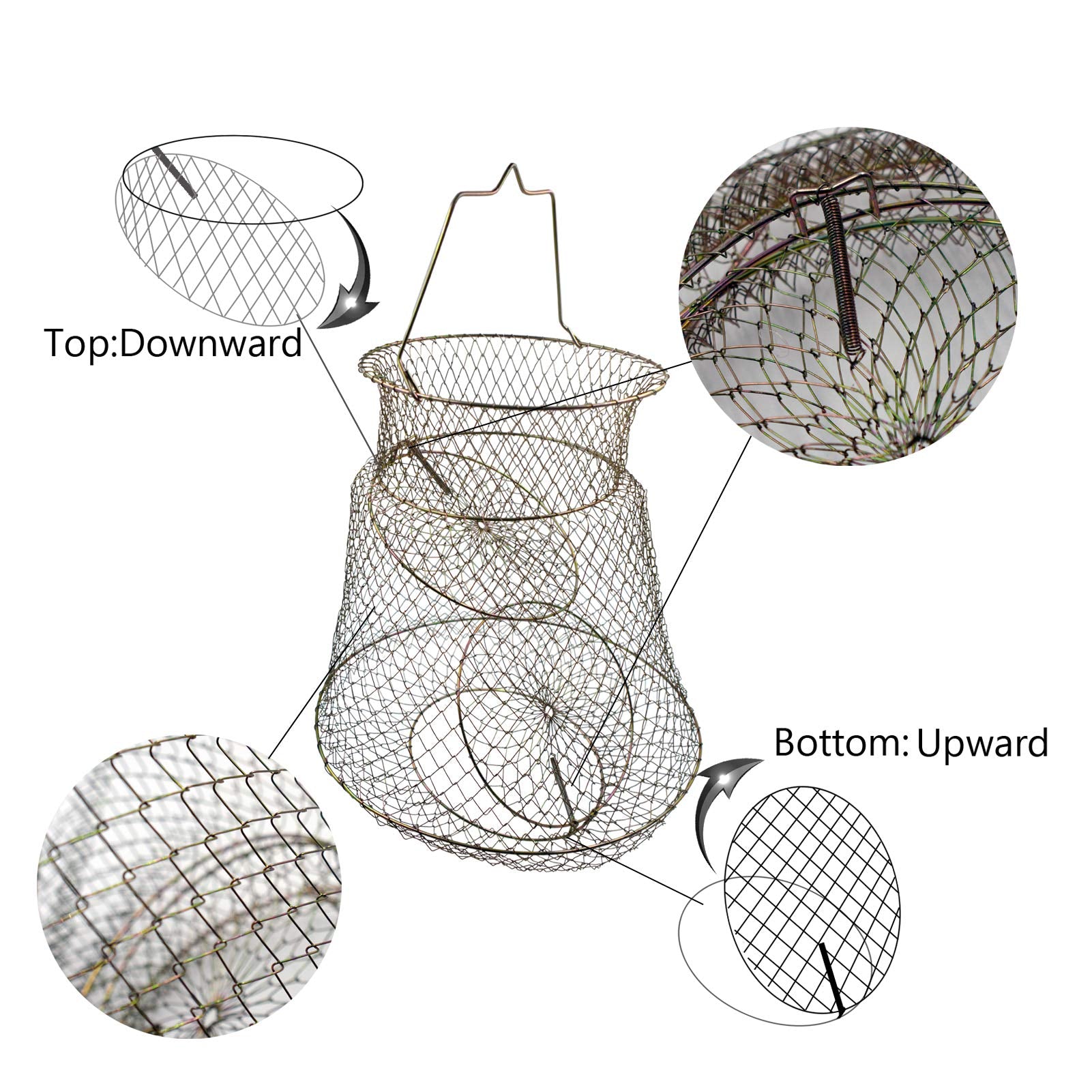 Collapsible fish basket in outdoor fishing setup