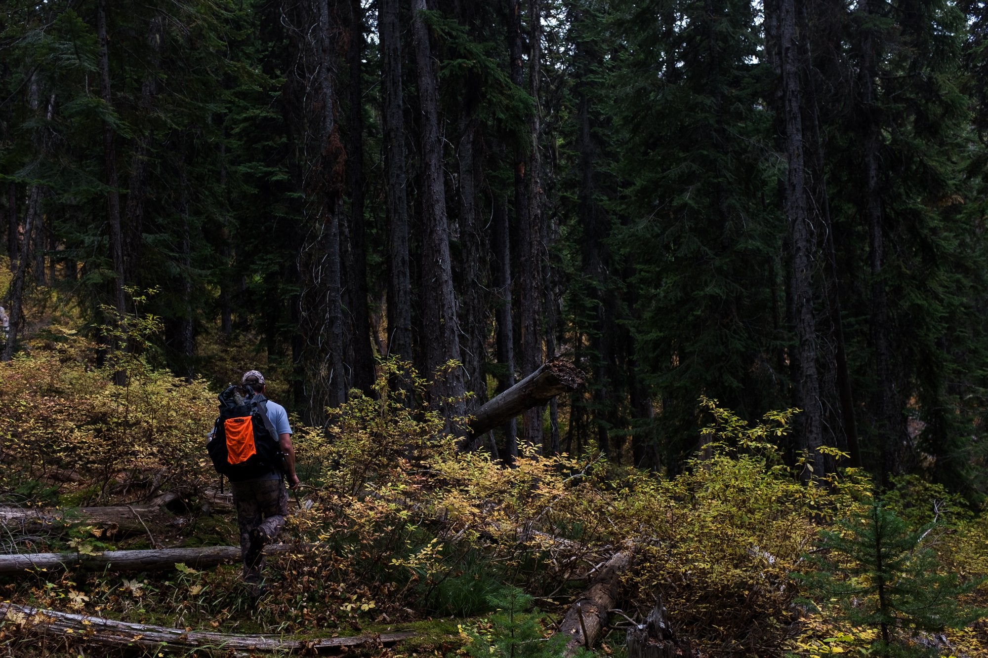 Medium size fits small to medium daypacks for outdoor use