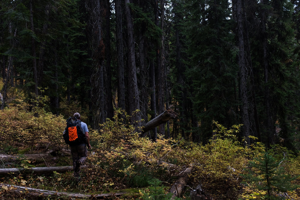 Medium size fits small to medium daypacks for outdoor use