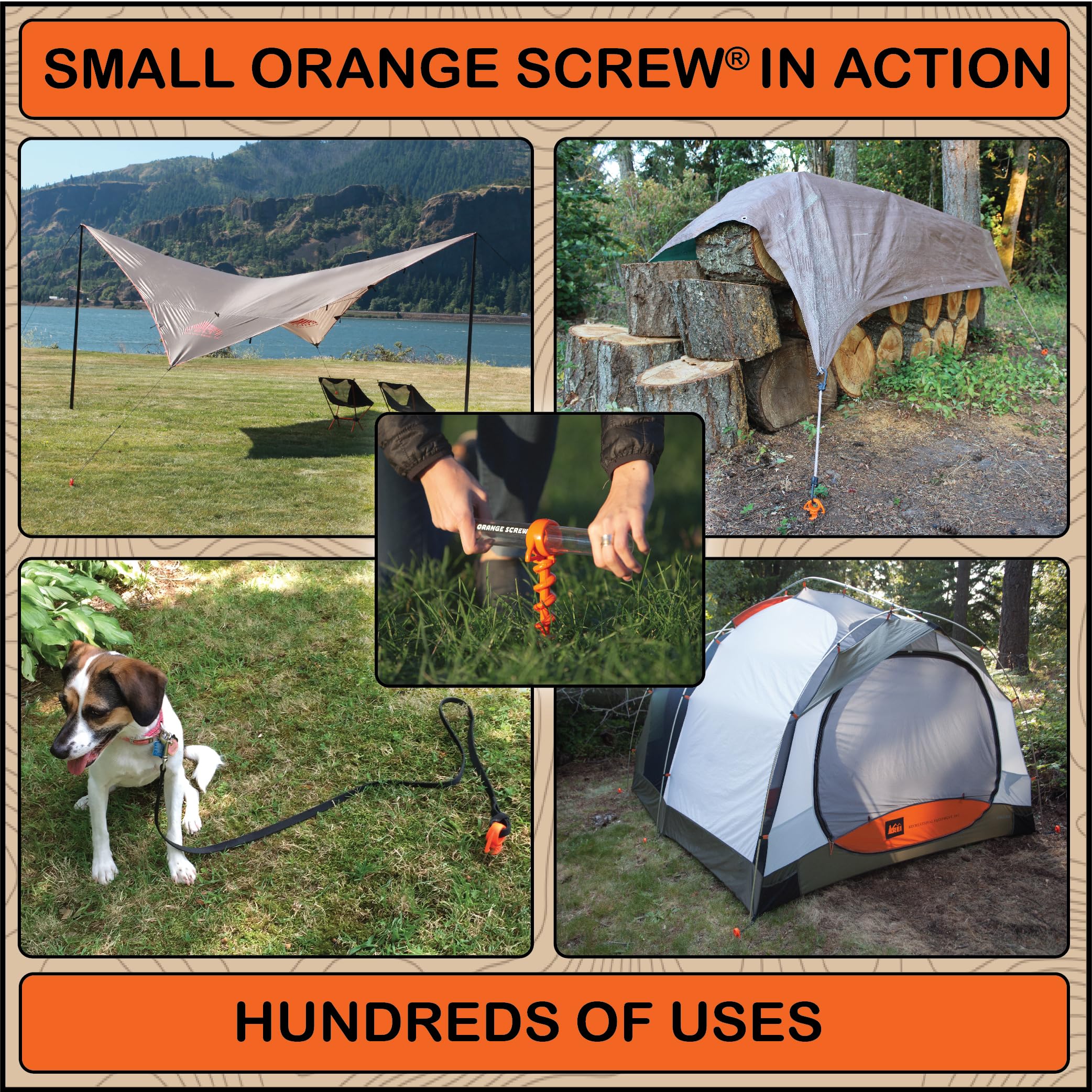 Orange Screw anchors securing a tent in a campsite setup.