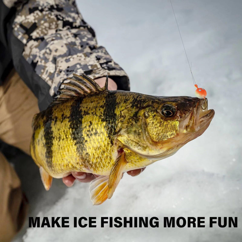 Organized storage box for ice jigs