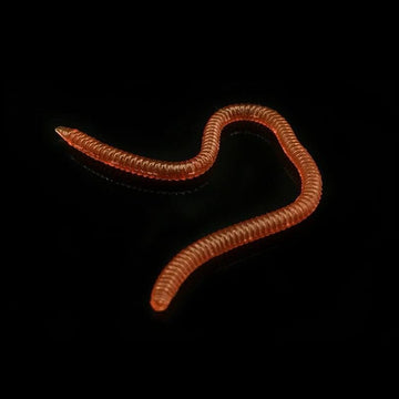 20pcs box of OriGlam bass worm lures
