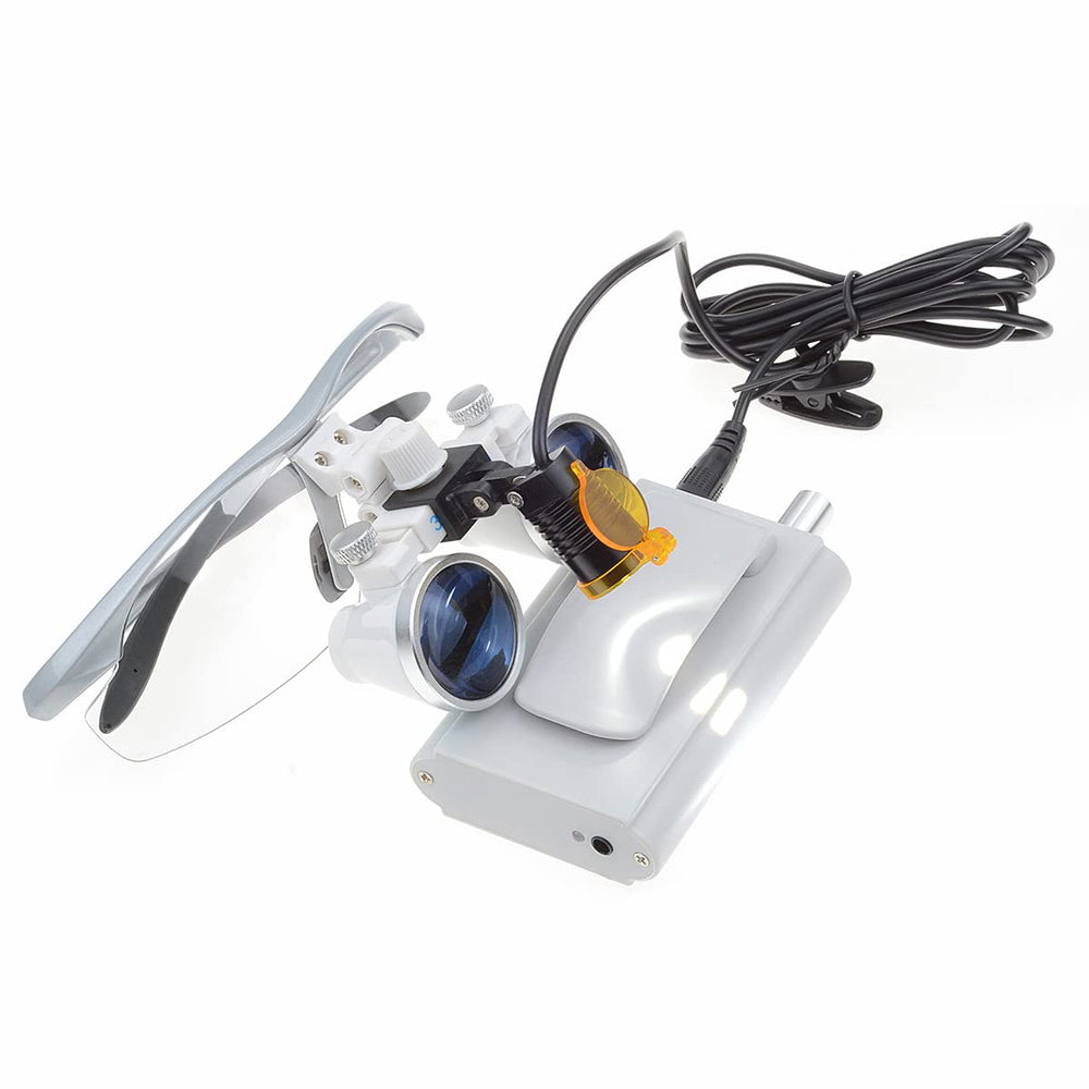 Protective carrying case to organize loupe and accessories