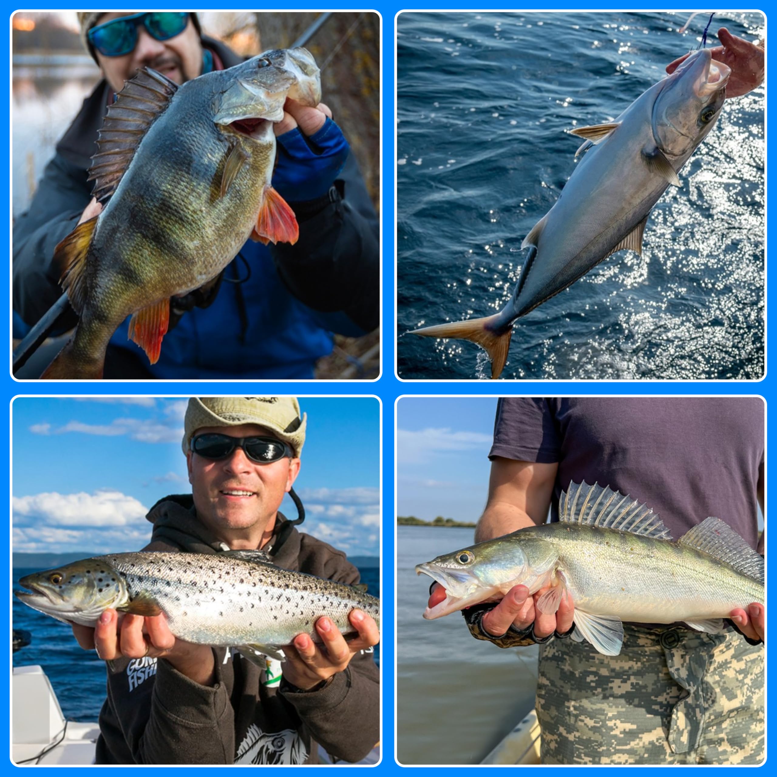 12 pieces per pack - OROOTL fishing leader rigs