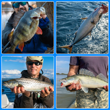 12 pieces per pack - OROOTL fishing leader rigs