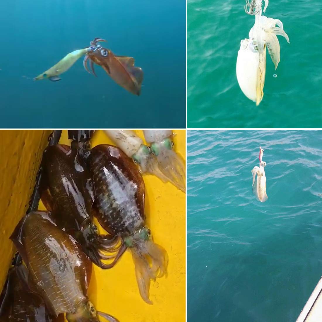 Feather wings and curved chest weight for natural sinking motion