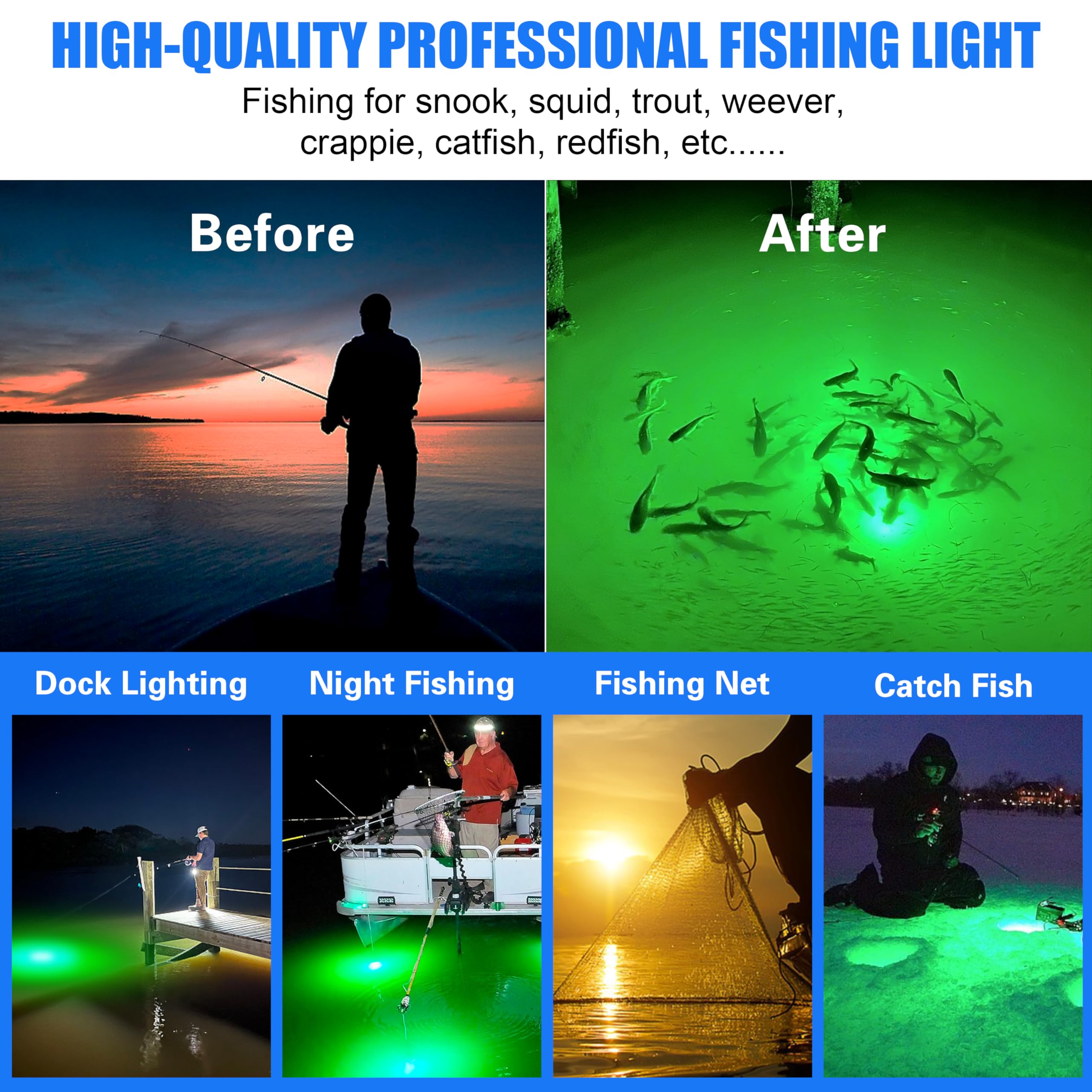 OROOTL green light attracts various fish species for night fishing.