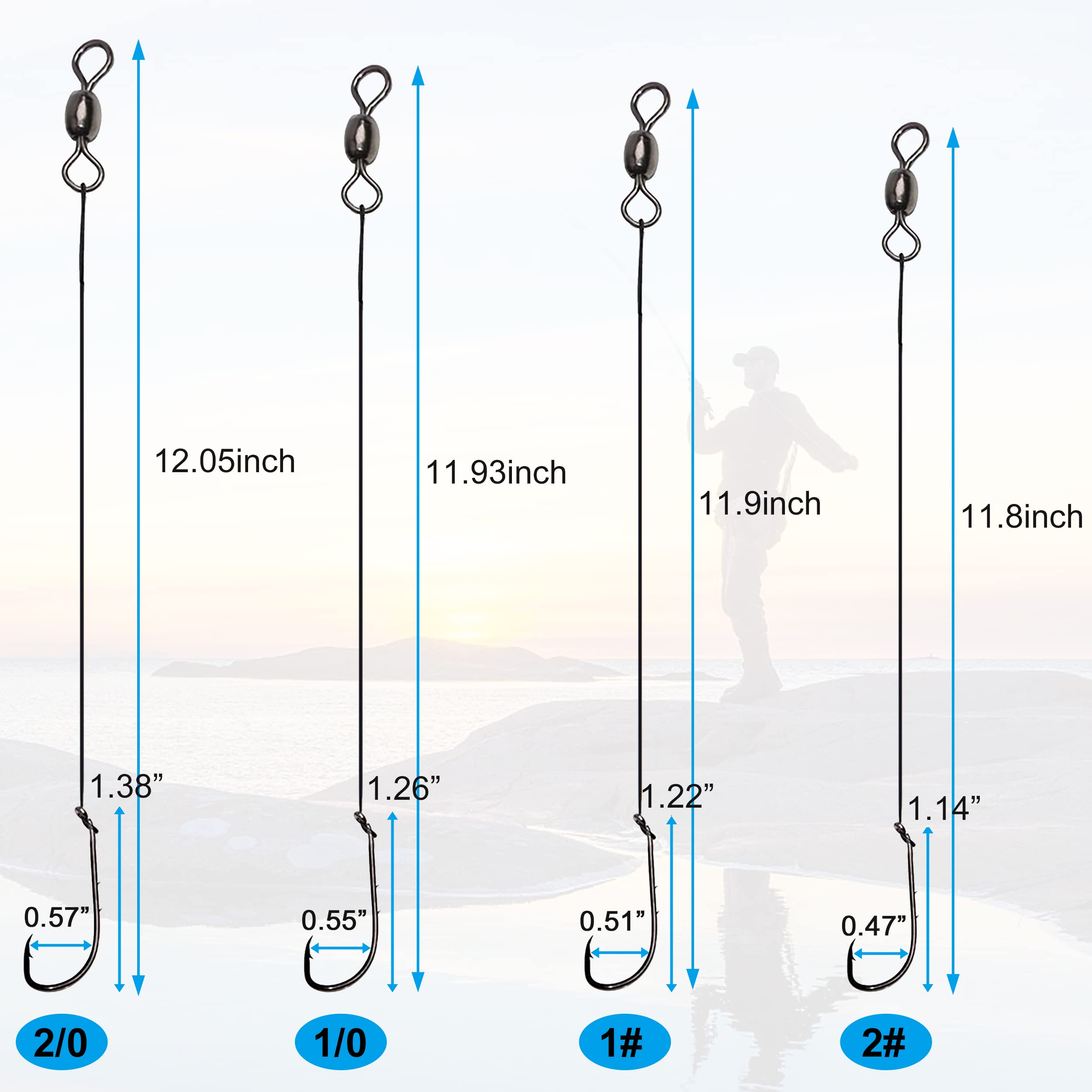Hook sizes 2, 1, 1/0, 2/0 displayed on the rig
