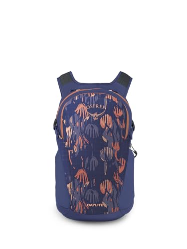 Osprey Daylite commuter backpack with luggage pass-through for airport travel.