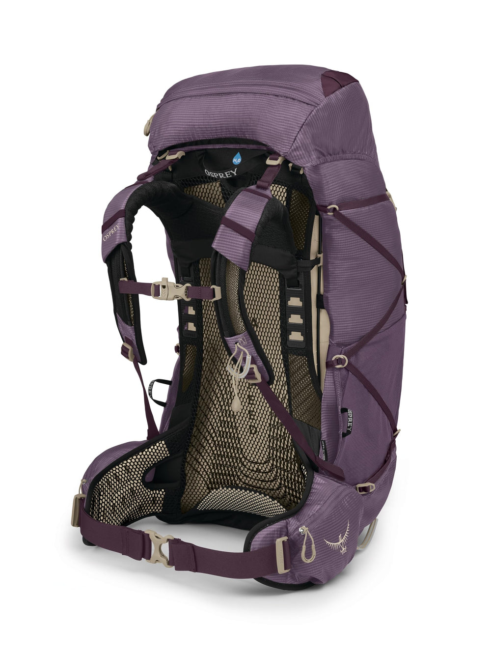 Osprey Eja 58L torso adjustment for a personalized fit