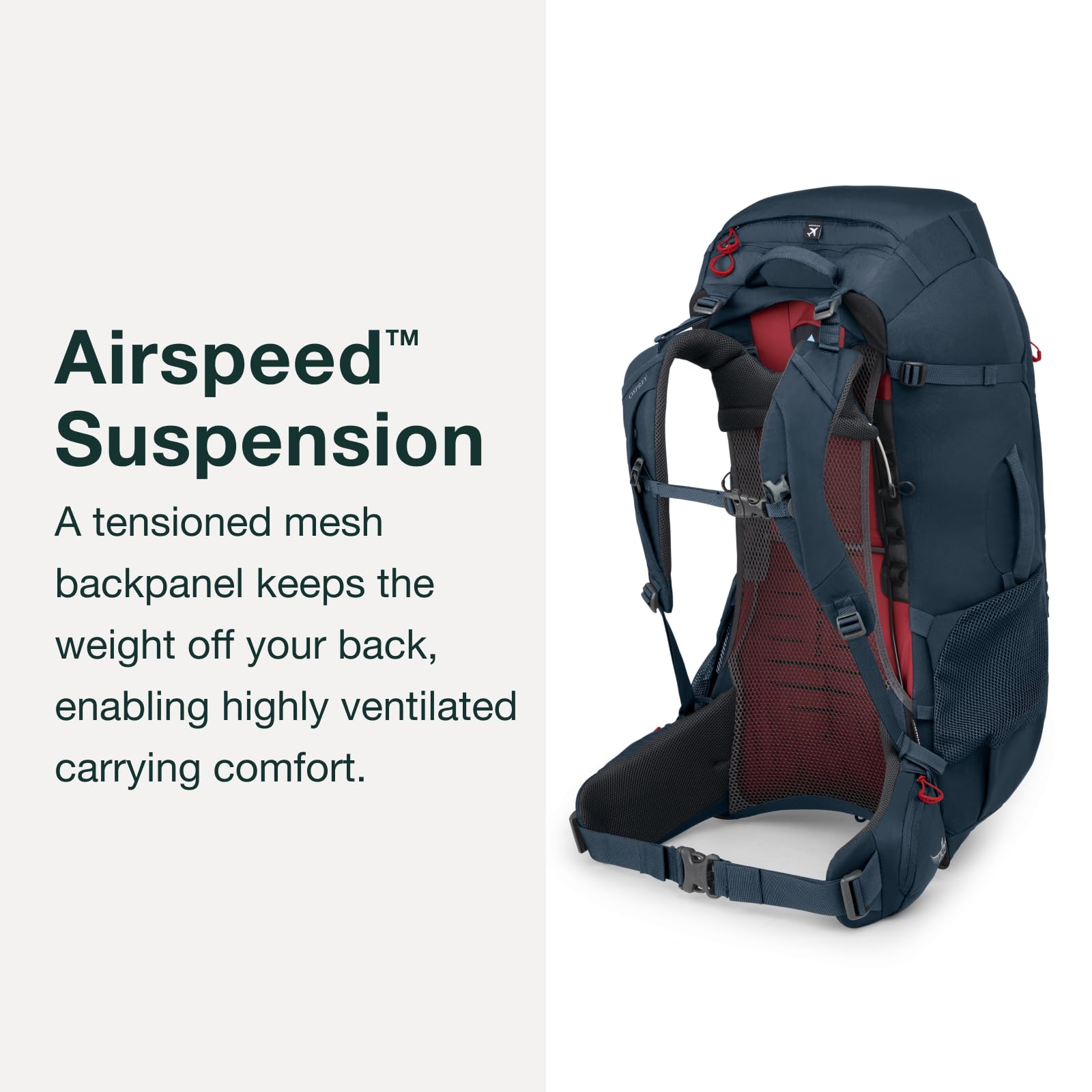 Osprey Farpoint Trek 55L hipbelt pockets provide quick-access essentials.