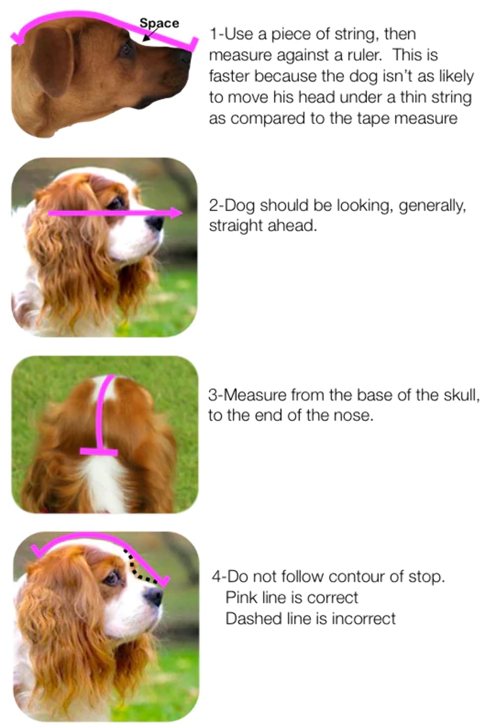 Out Fox Field Guard XL elastic opening, comfortable breathing and panting