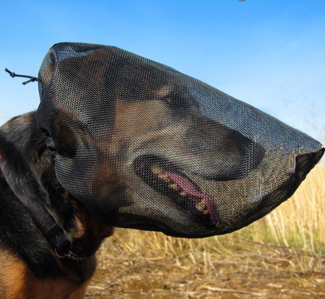 Out Fox Field Guard XL front view, breathable protection for dogs