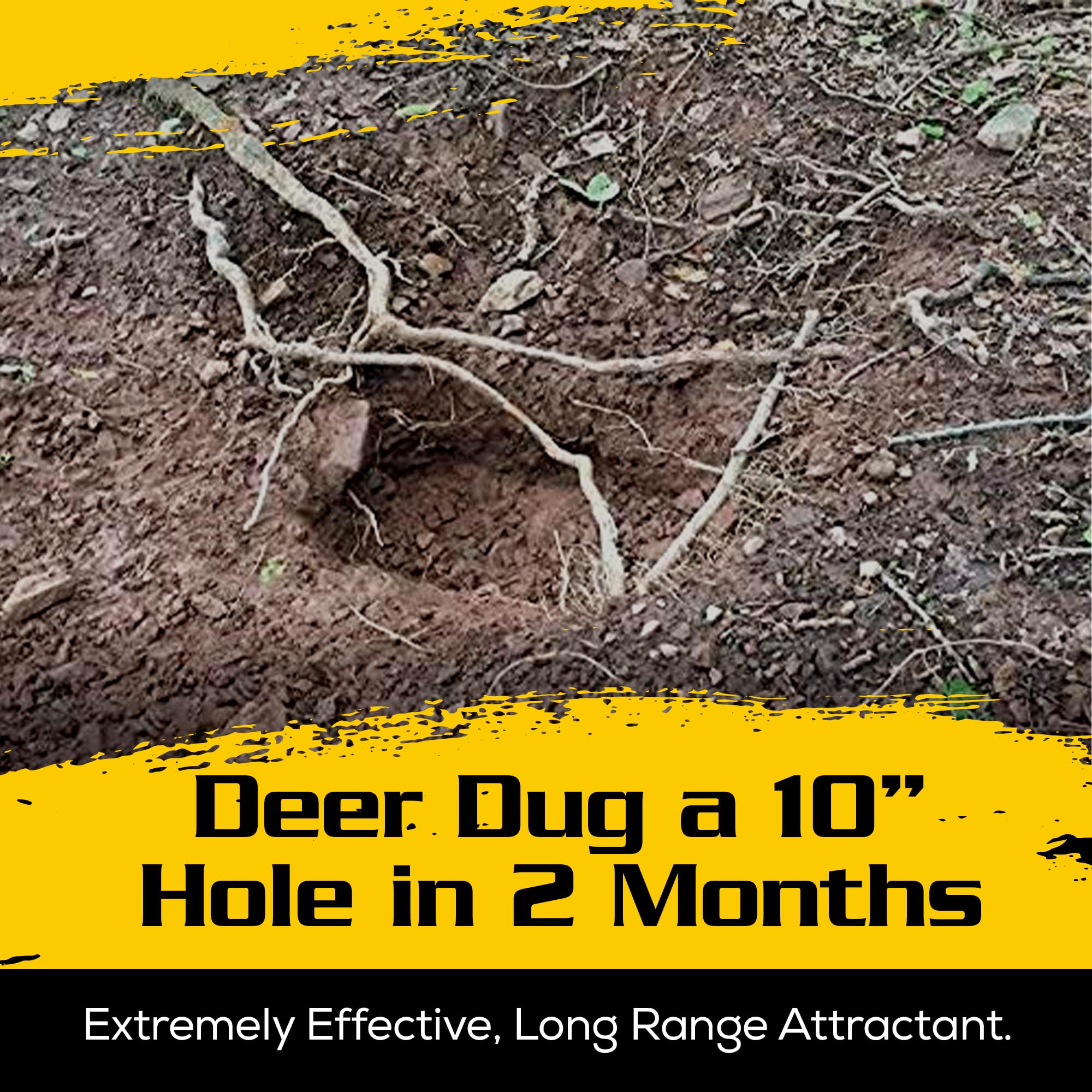 Outdoor Hunting Lab Antler Power trail nutrition — powder spread near a trail supports deer feeding.