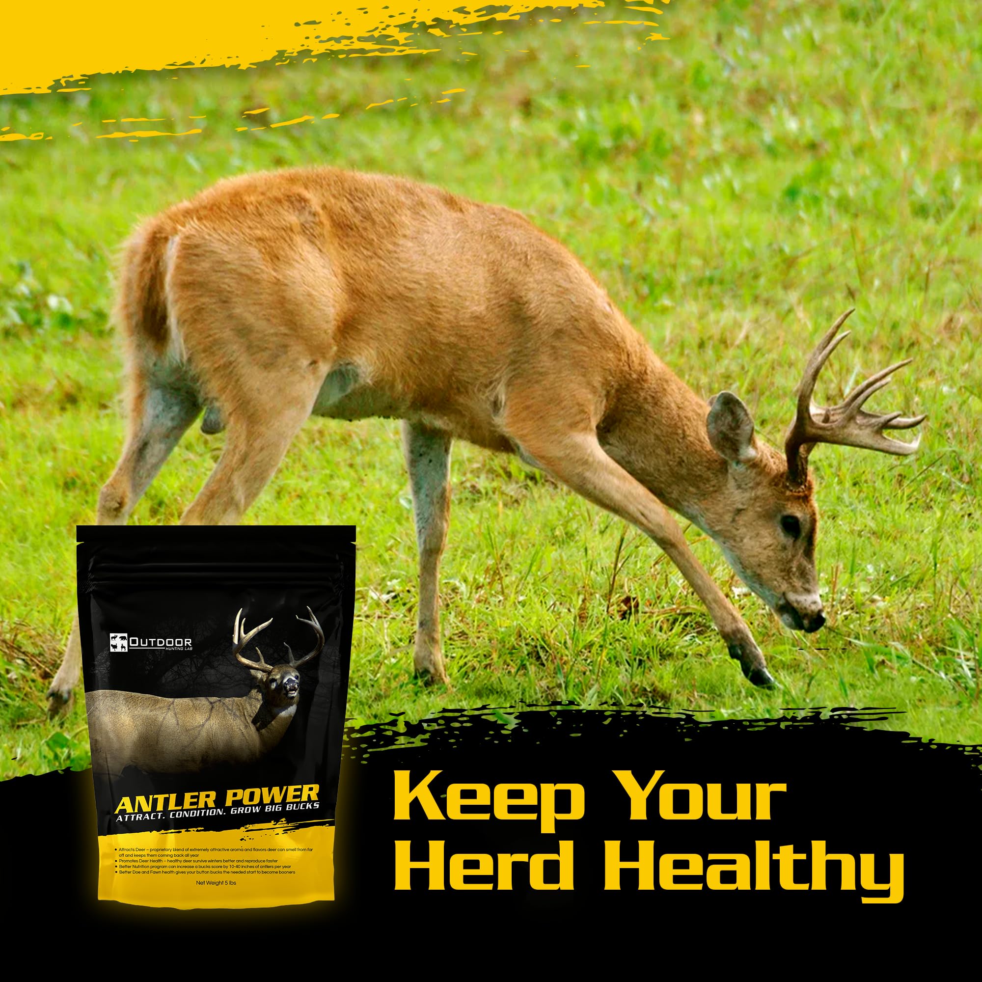 Outdoor Hunting Lab Antler Power trail scene — scent and mineral blend in action.