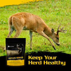 Outdoor Hunting Lab Antler Power trail scene — scent and mineral blend in action.