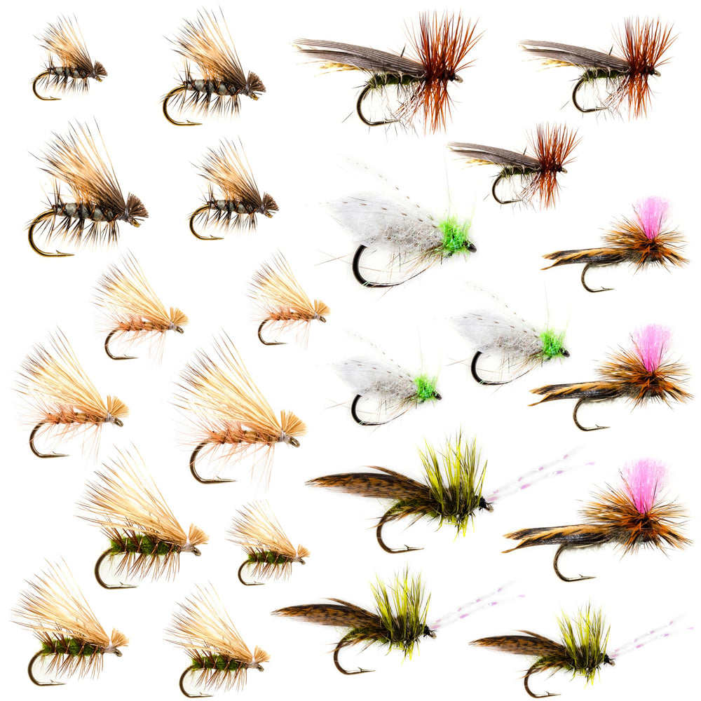Outdoor Planet 24-caddis dry fly assortment pack shows versatile trout flies for varied hatches