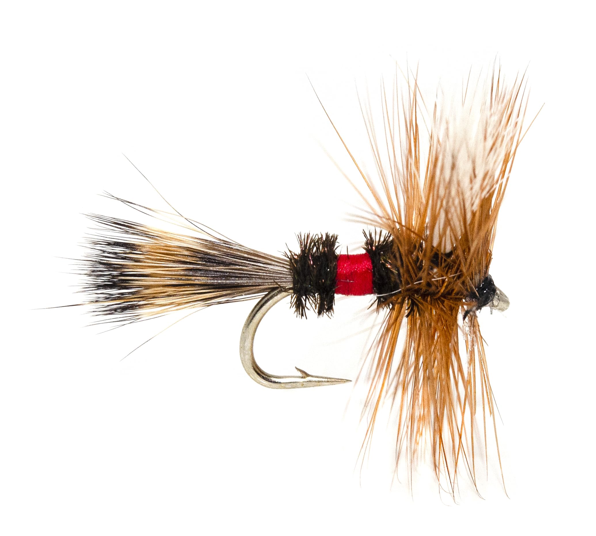 Outdoor Planet 26-essential flies kit: setup ready for trout streams