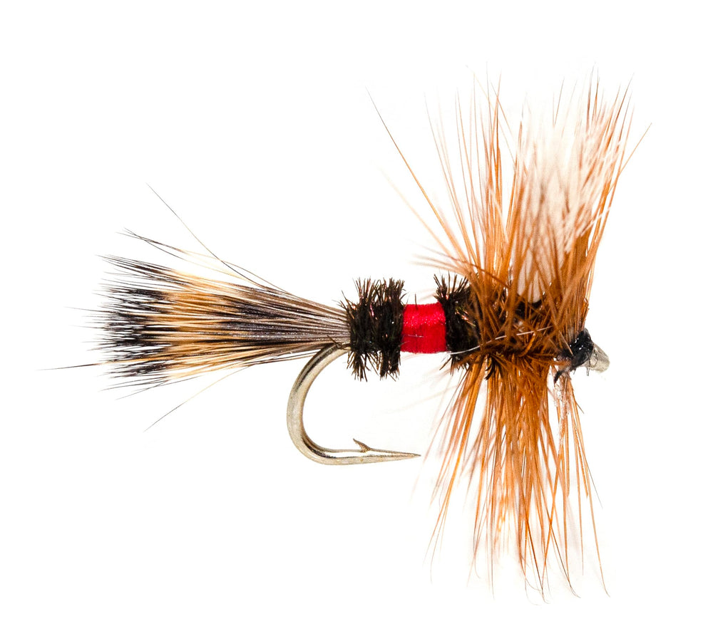 Outdoor Planet 26-essential flies kit: setup ready for trout streams