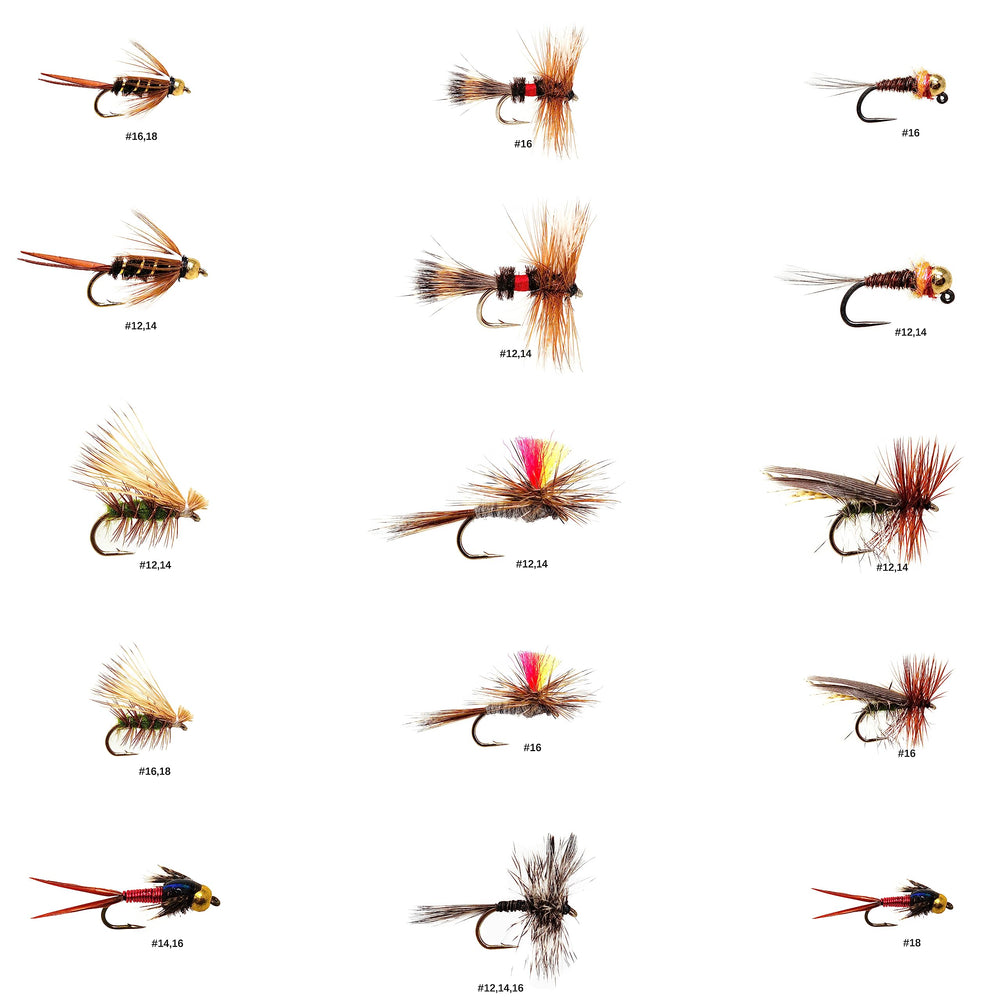 Outdoor Planet 26-essential flies kit: wet flies display for versatile fishing