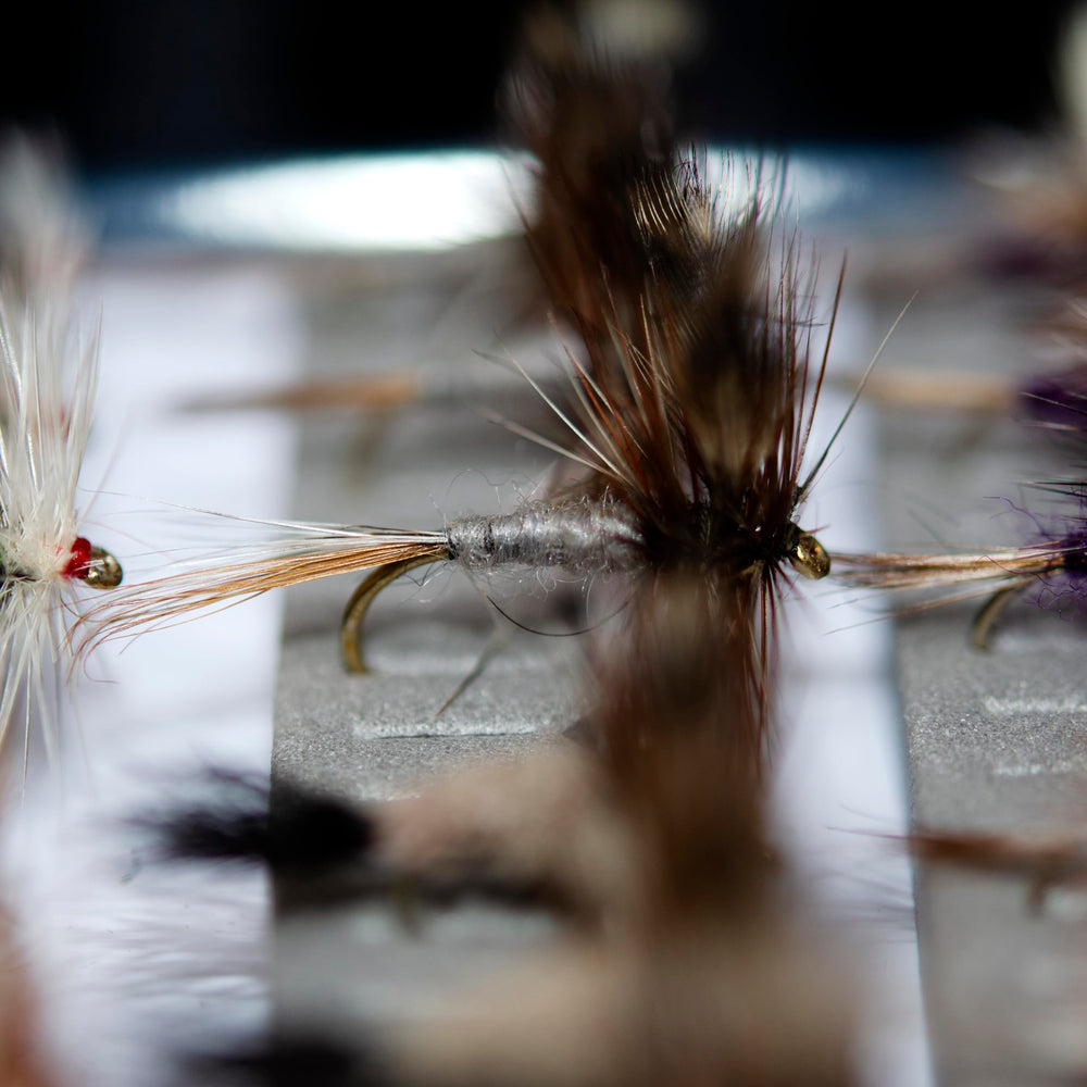 Outdoor Planet 72-premium gift-set: ideal present for weekend anglers.