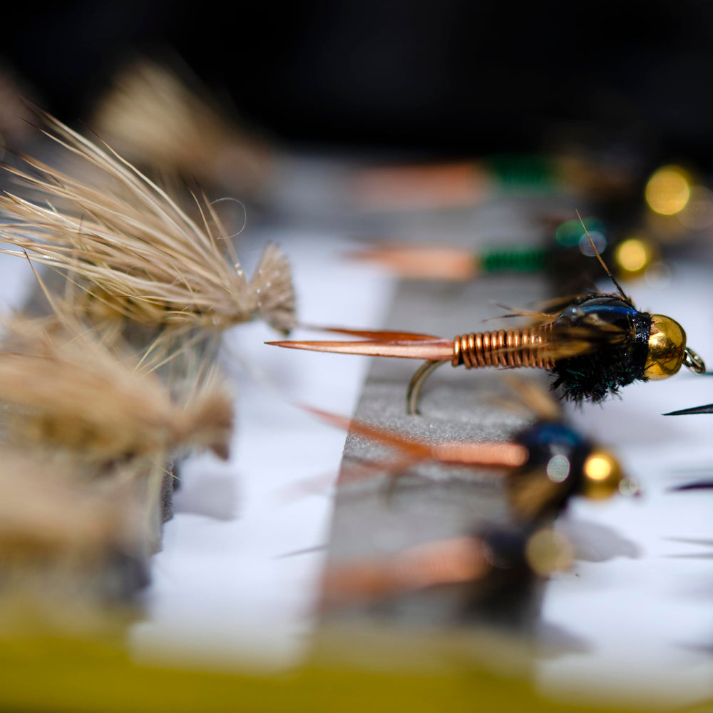 Outdoor Planet 72-premium nymphs: proven confidence across streams and lakes.