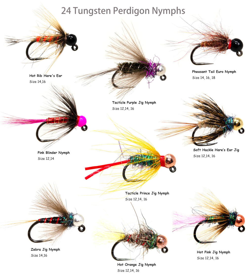 Outdoor Planet brass-beaded Prince patterns shown for reliable depth and attractor color