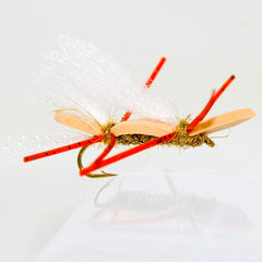 Outdoor Planet Chubby Chernobyl ant foam fly, size 14, near-surface presentation for larger targets