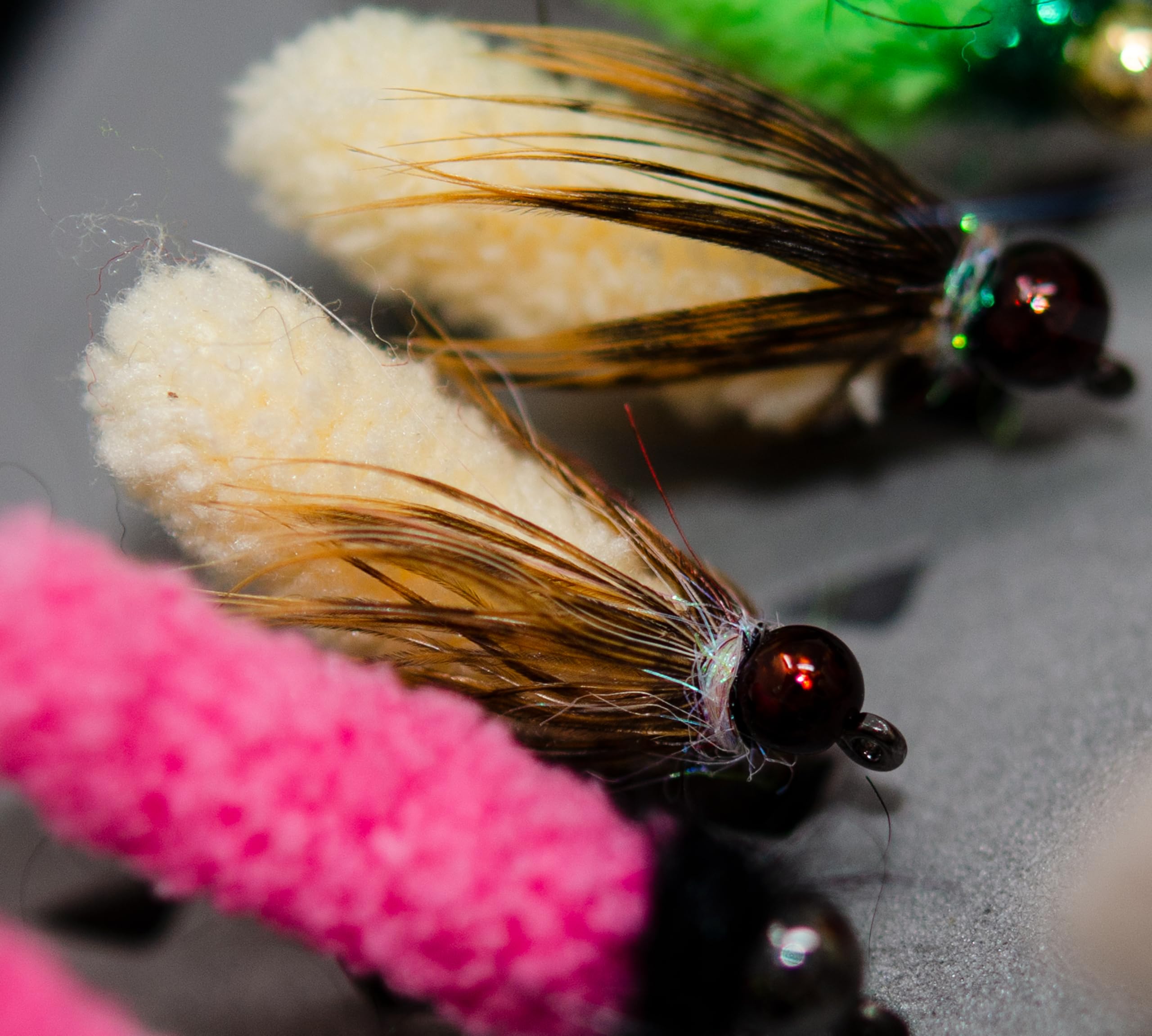 Outdoor Planet compact fly box with slit foam stabilizes flies