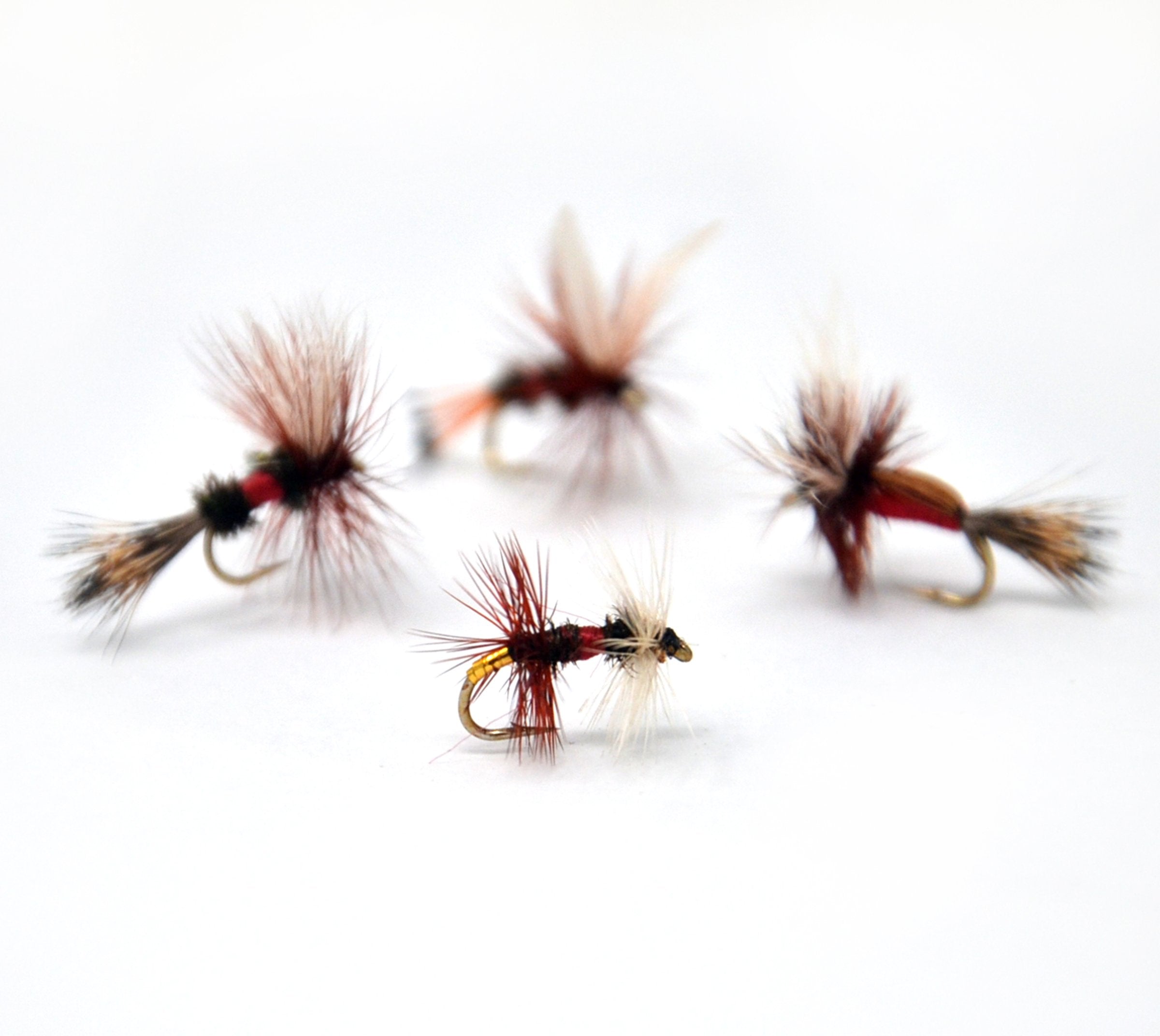Outdoor Planet Royal Coachman dry fly close-up for freshwater trout and grayling angling.