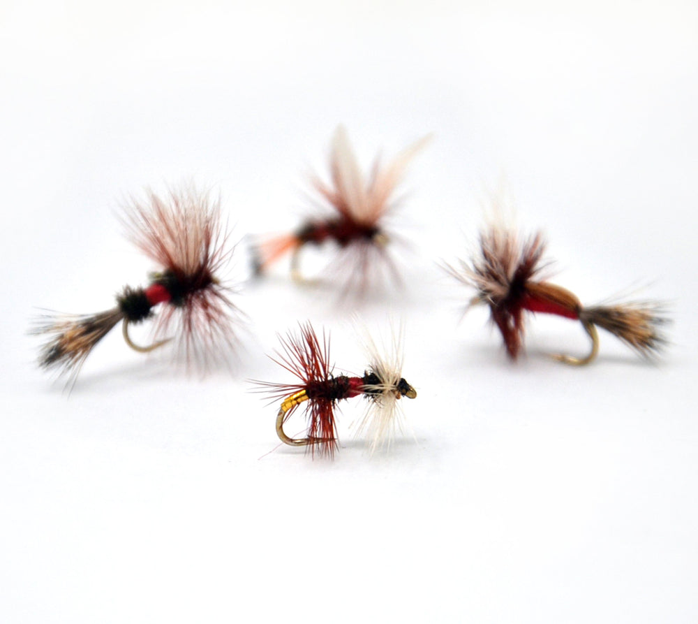 Outdoor Planet Royal Coachman dry fly close-up for freshwater trout and grayling angling.